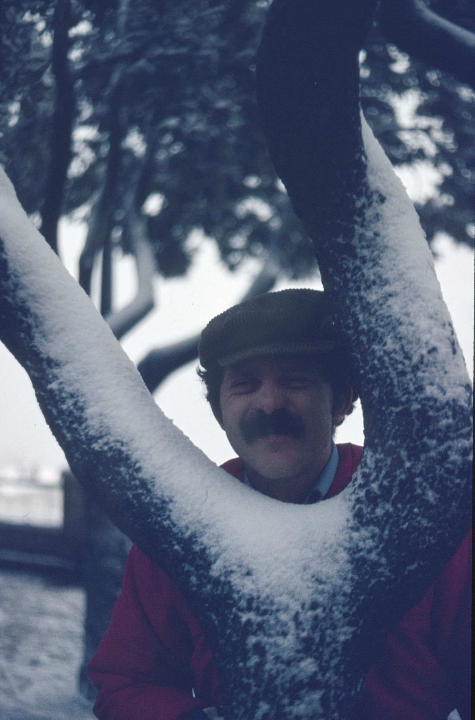 Francesco looking through a snowy tree smiling at the camera