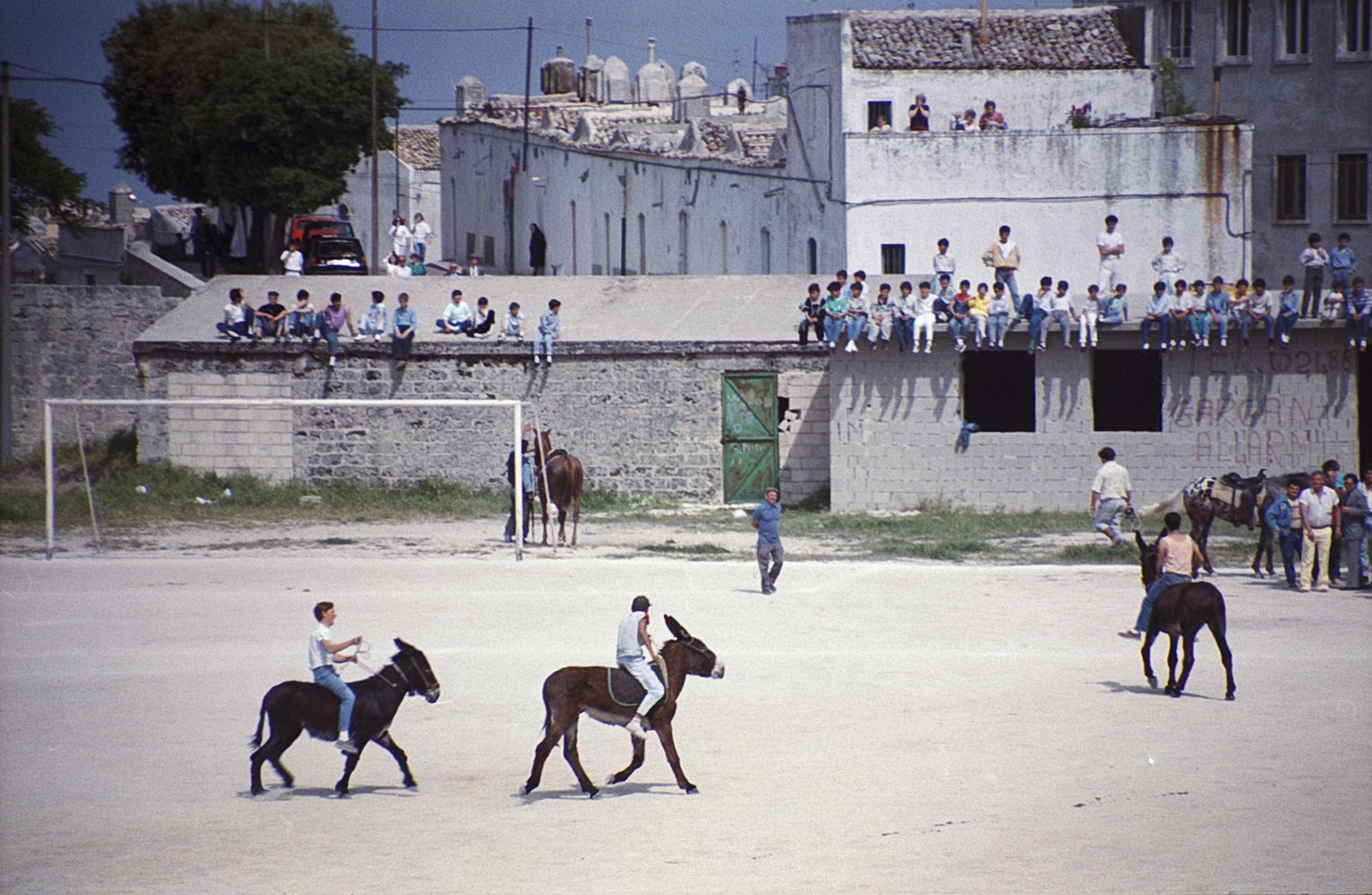 A soccer game in Monte Sant'Angelo in 1987 with donkeys